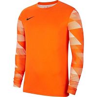   Nike Dry Park IV JSY LS GK CJ6066-819 SR