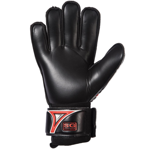    2K SPORT EVOLUTION 124915 -  2
